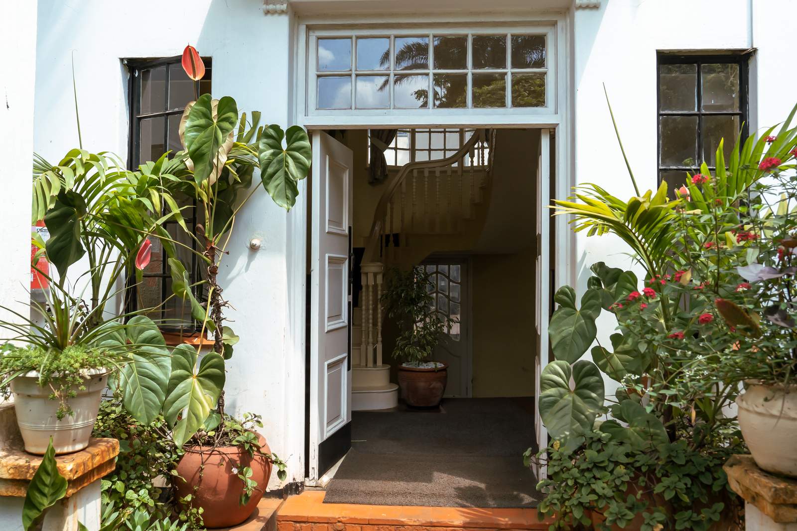 Lewa House - Gallery 16